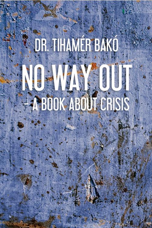 Cover of the book No way out? by Dr. Bakó Tihamér, Psycho-Art Intézet Kft.