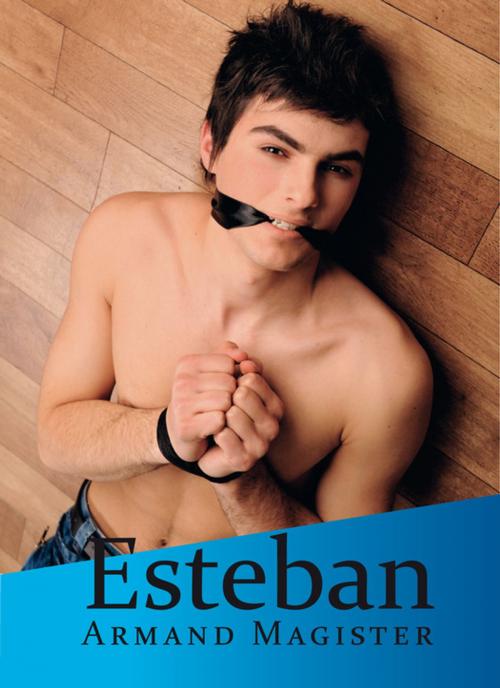 Cover of the book Esteban by Armand Magister, Éditions Textes Gais