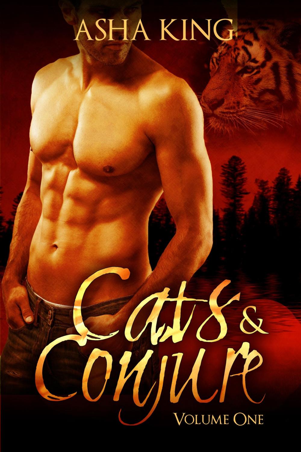 Big bigCover of Cats & Conjure Volume One