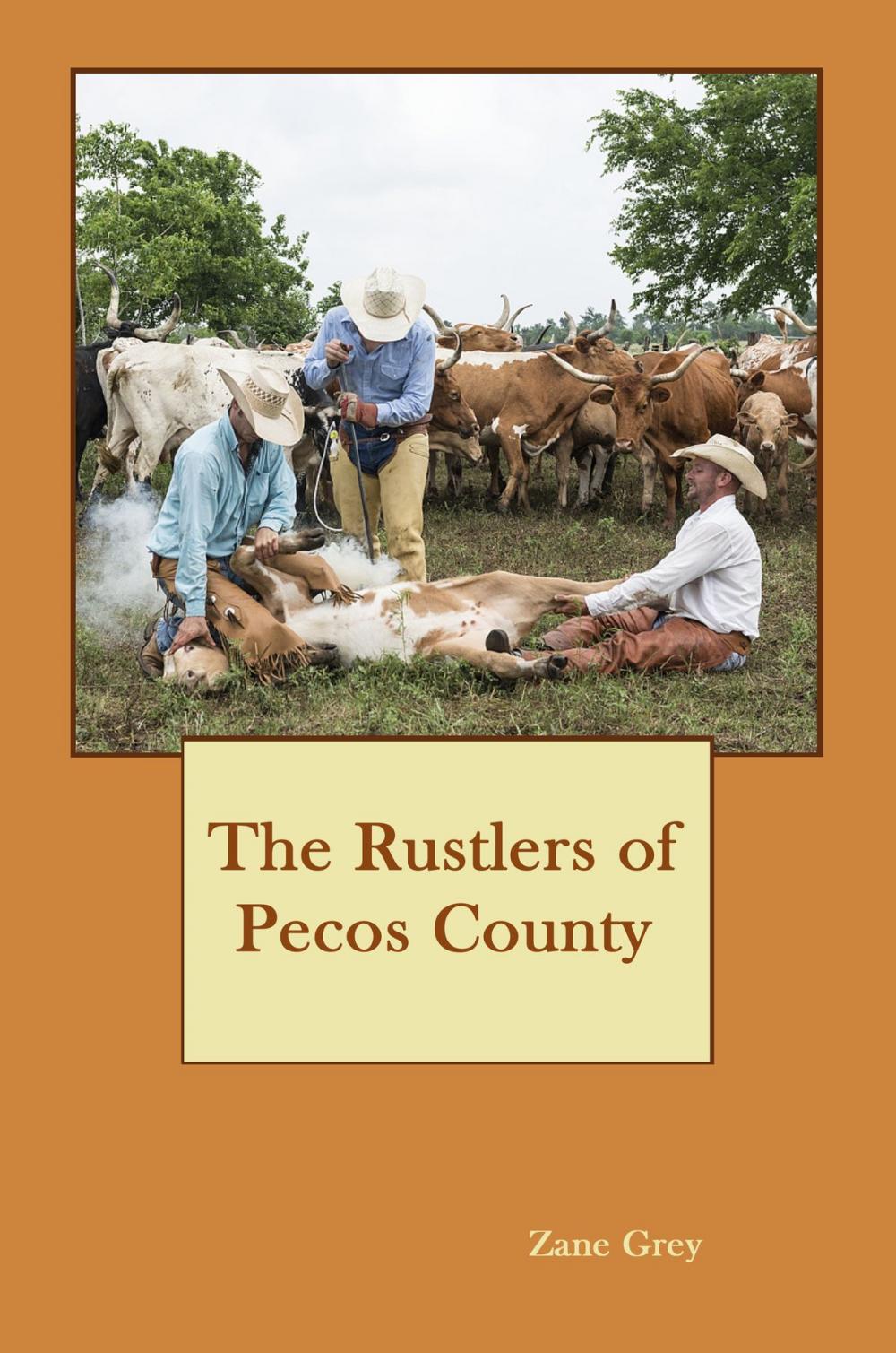 Big bigCover of The Rustlers of Pecos County (Illustrated)