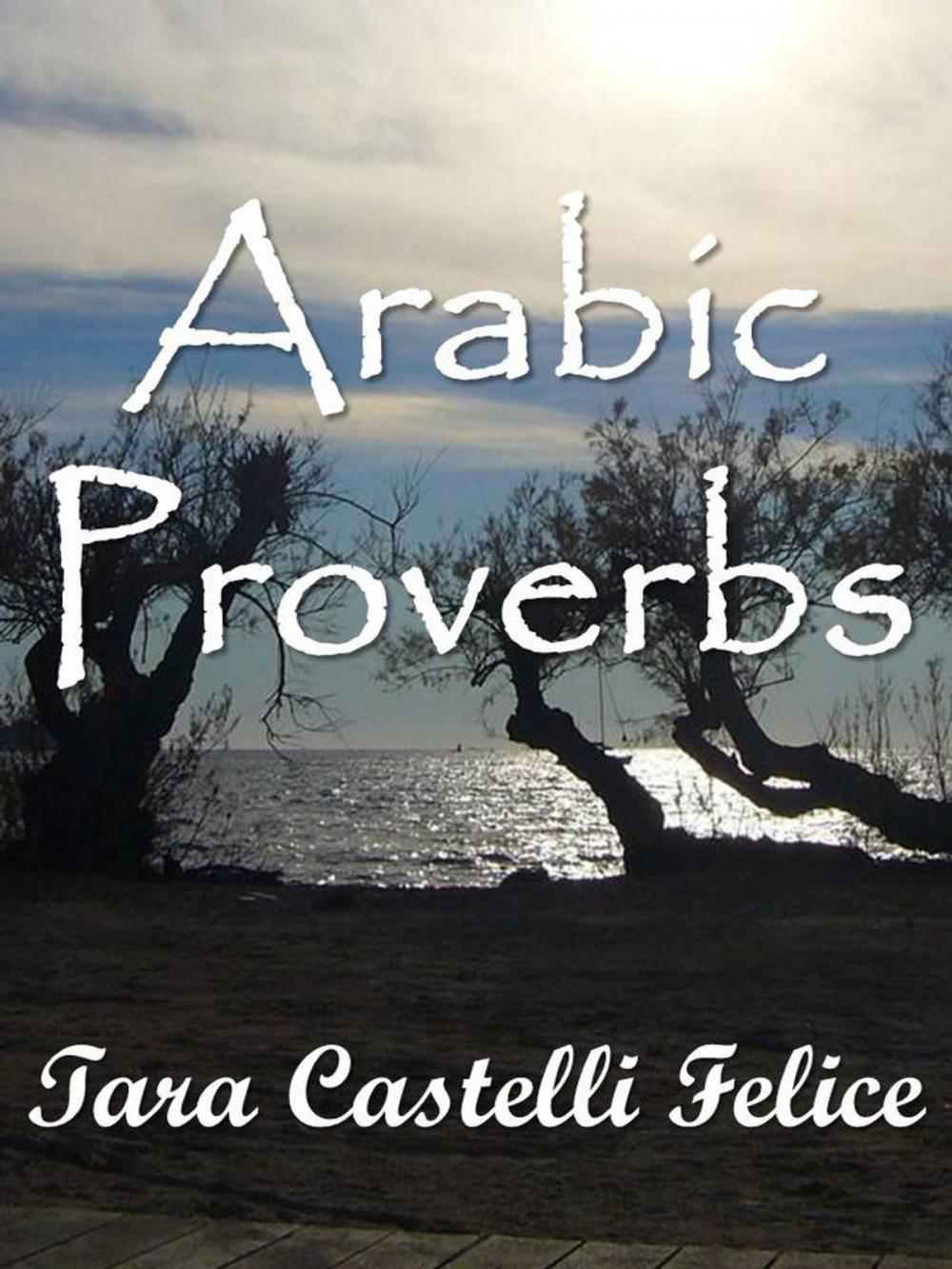 Big bigCover of Les Proverbes Arabes