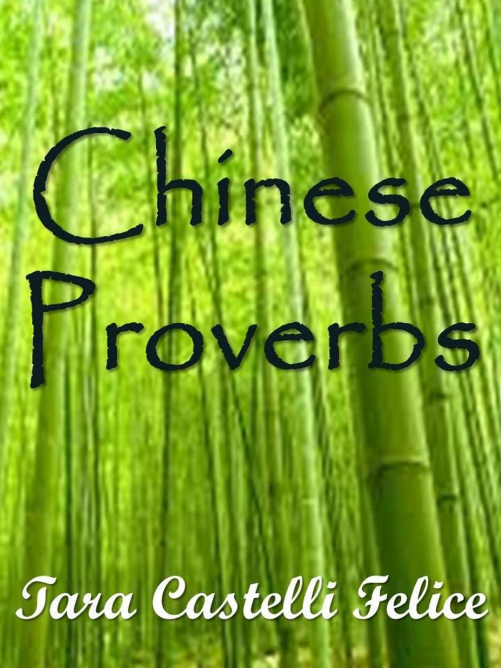 Big bigCover of Chinese Proverbs