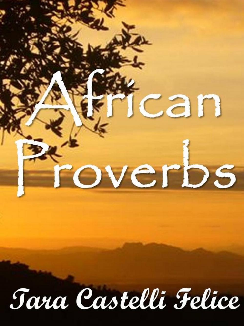 Big bigCover of African Proverbs
