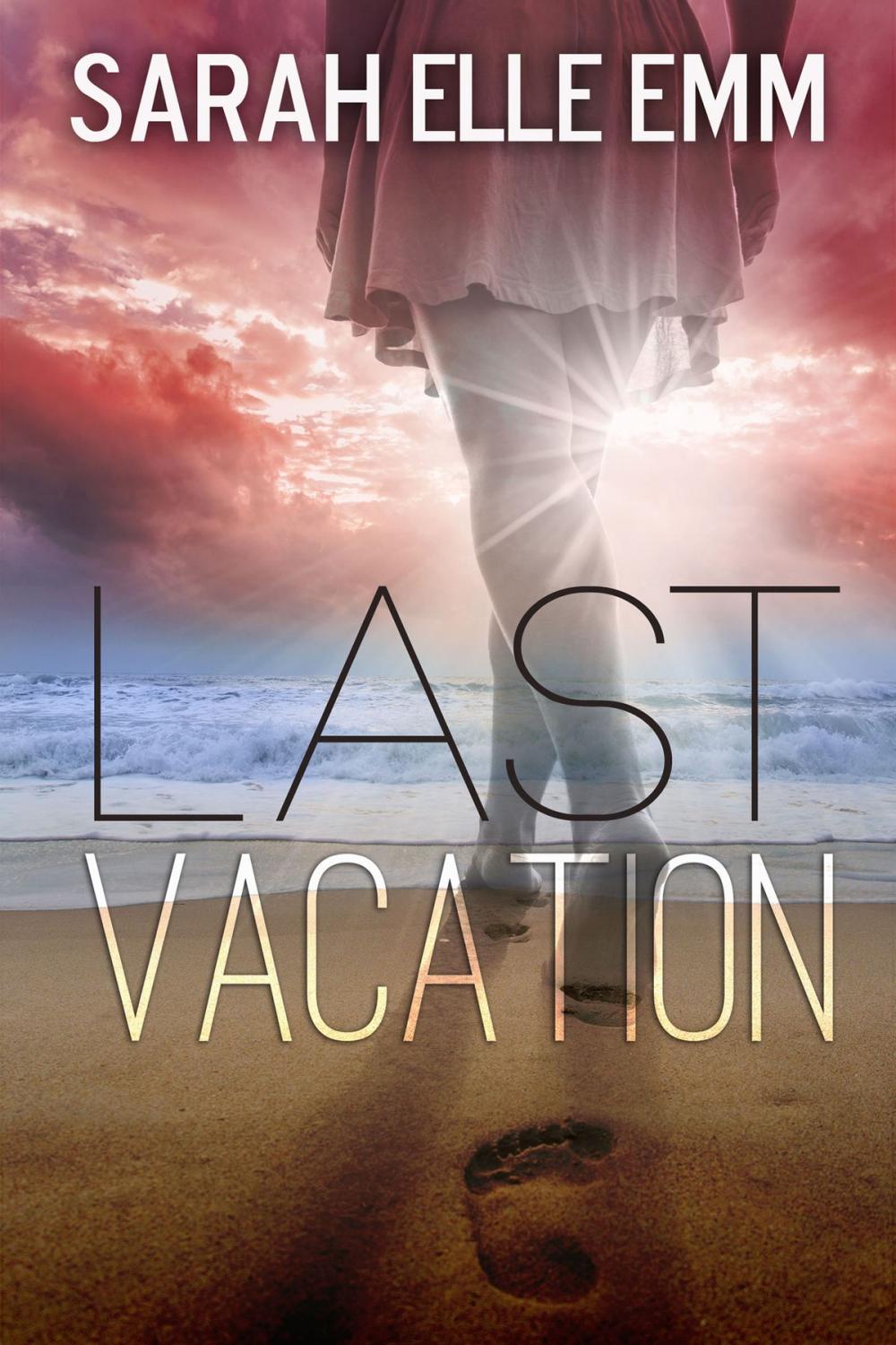 Big bigCover of Last Vacation