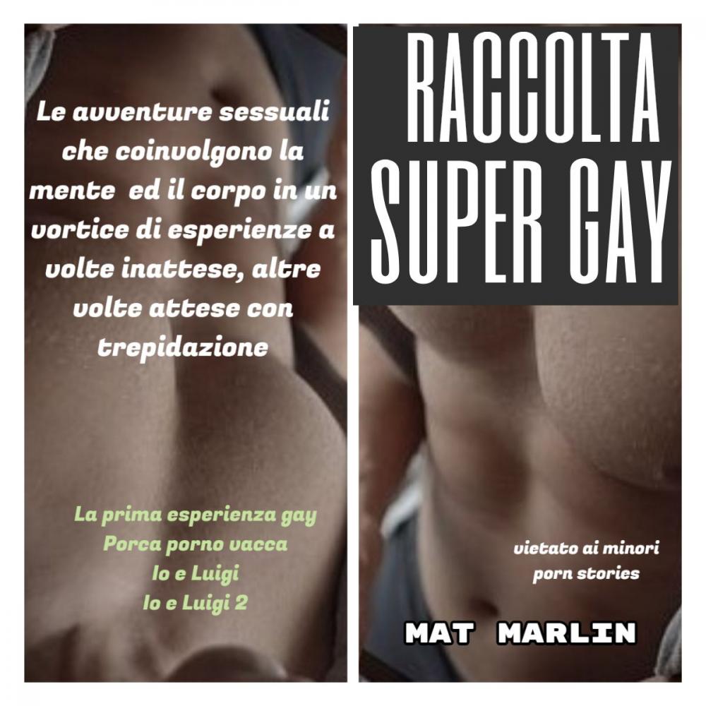 Big bigCover of Raccolta super gay (porn stories)