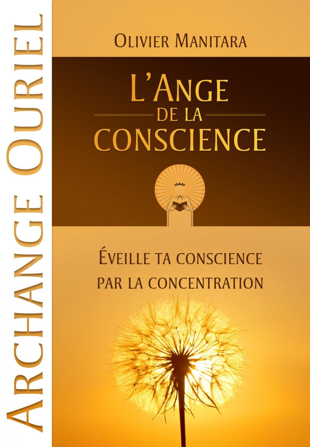 Big bigCover of L'Ange de la conscience