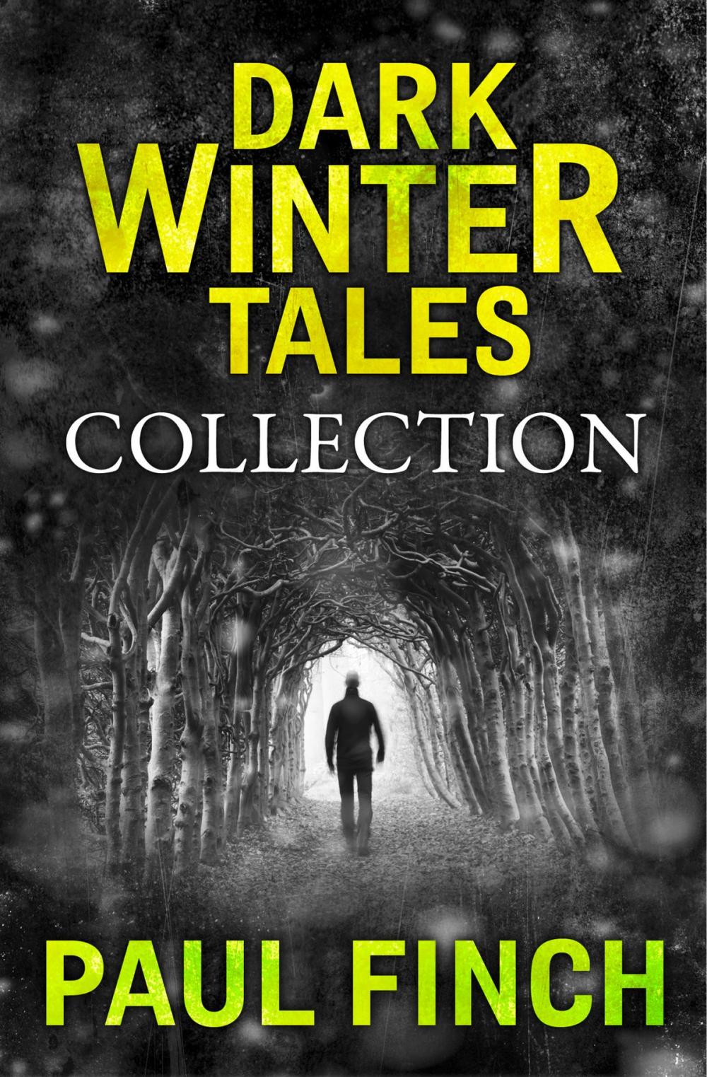 Big bigCover of Dark Winter Tales: a collection of horror short stories (Dark Winter Tales)