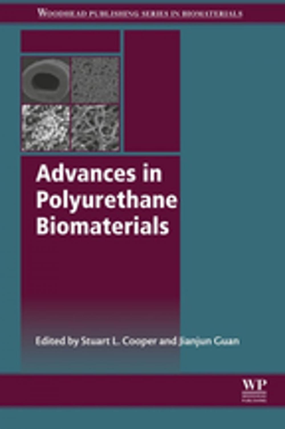 Big bigCover of Advances in Polyurethane Biomaterials