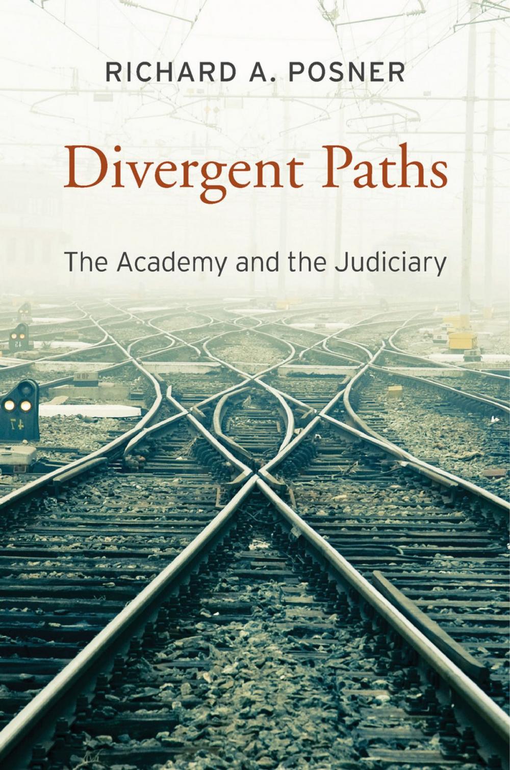 Big bigCover of Divergent Paths