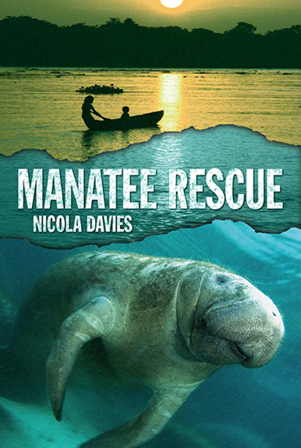 Big bigCover of Manatee Rescue