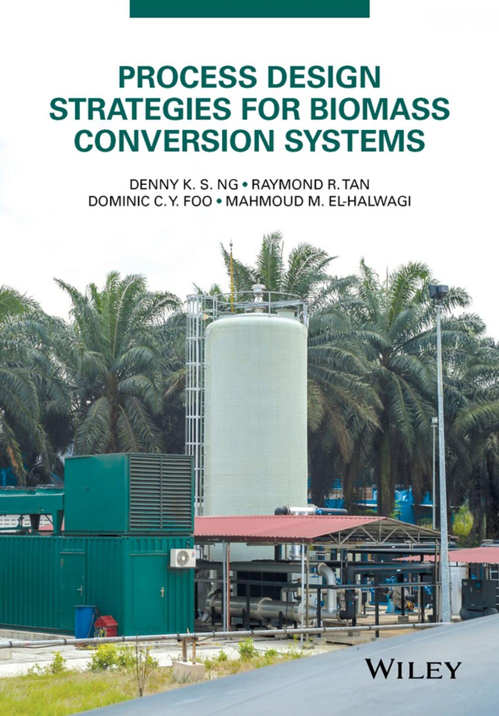 Big bigCover of Process Design Strategies for Biomass Conversion Systems