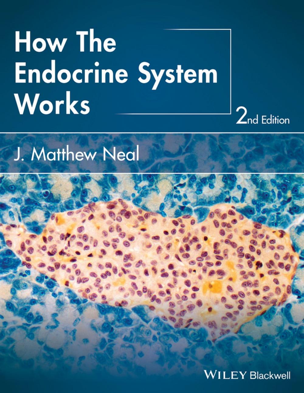Big bigCover of How the Endocrine System Works
