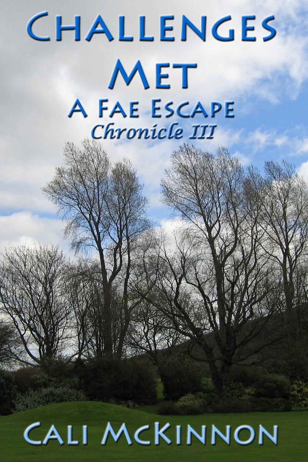 Big bigCover of Challenges Met: a Fae Escape