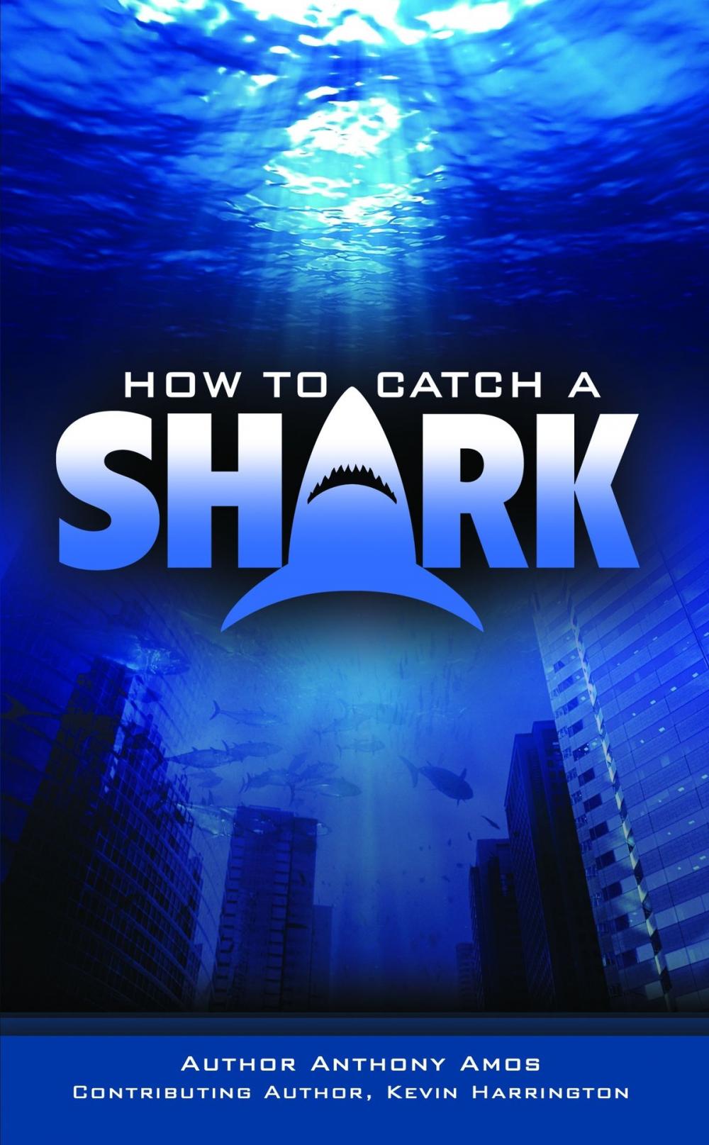Big bigCover of How to Catch a Shark