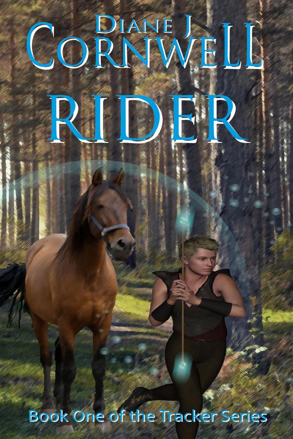 Big bigCover of Rider