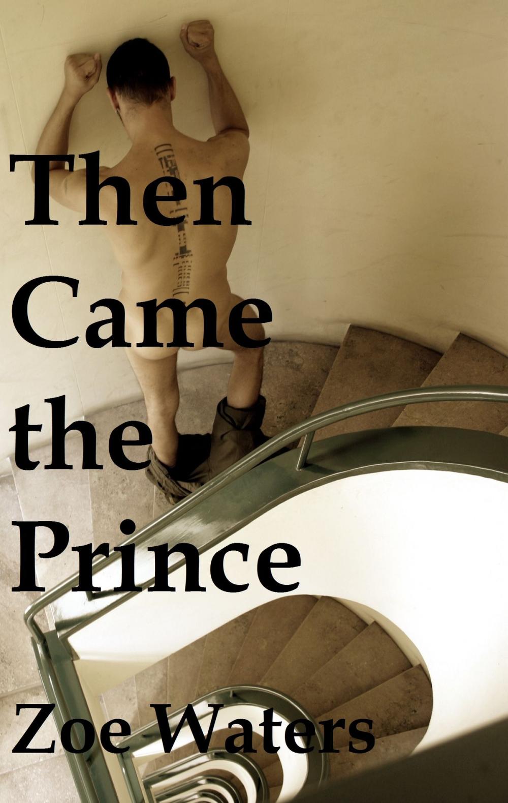 Big bigCover of Then Came the Prince