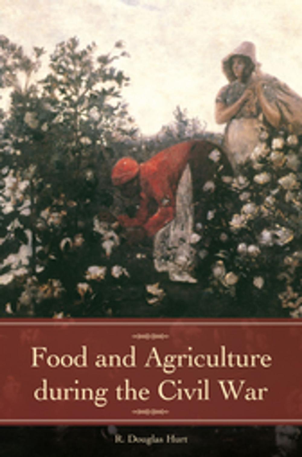 Big bigCover of Food and Agriculture during the Civil War