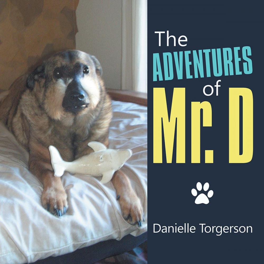 Big bigCover of The Adventures of Mr. D