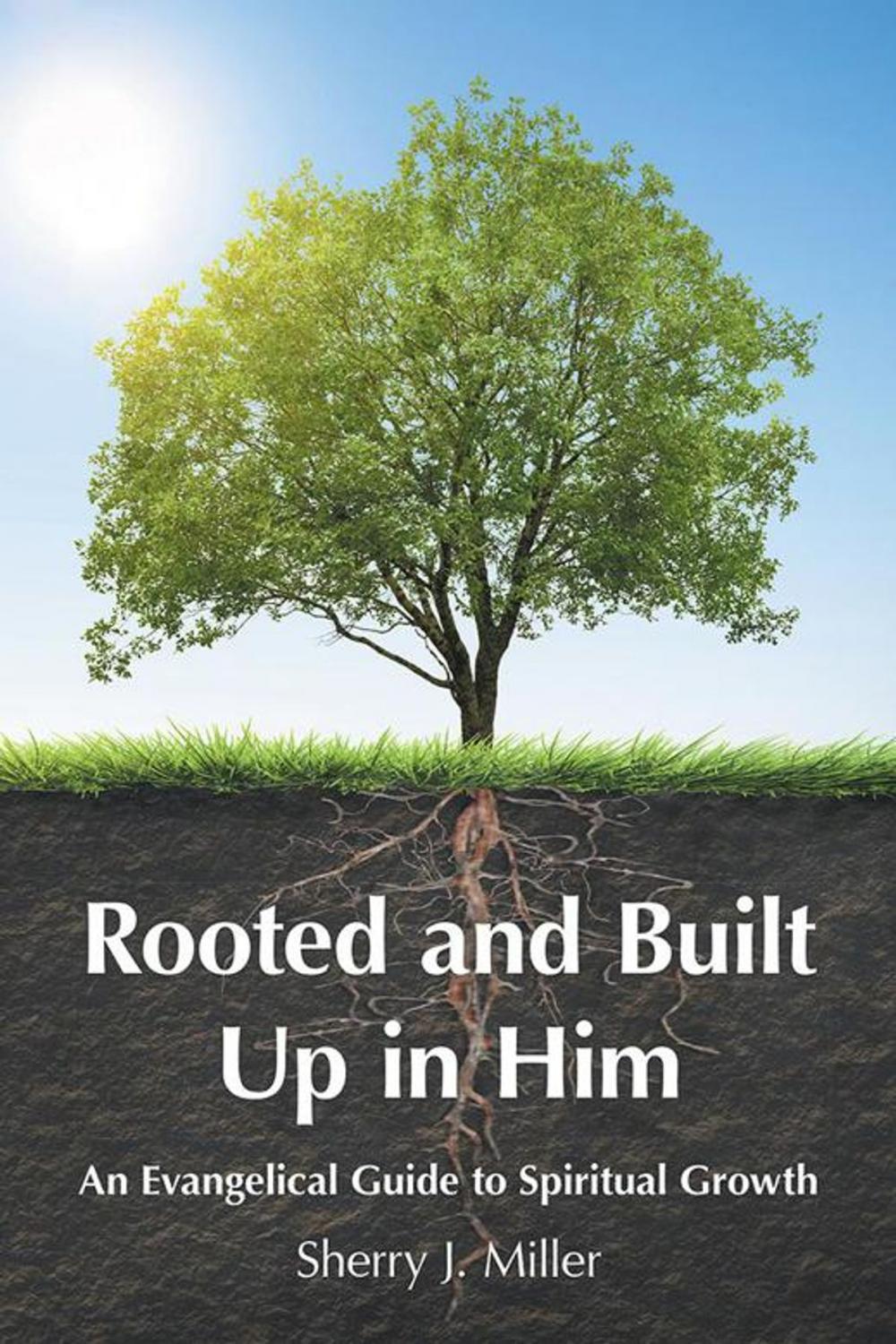 Big bigCover of Rooted and Built up in Him