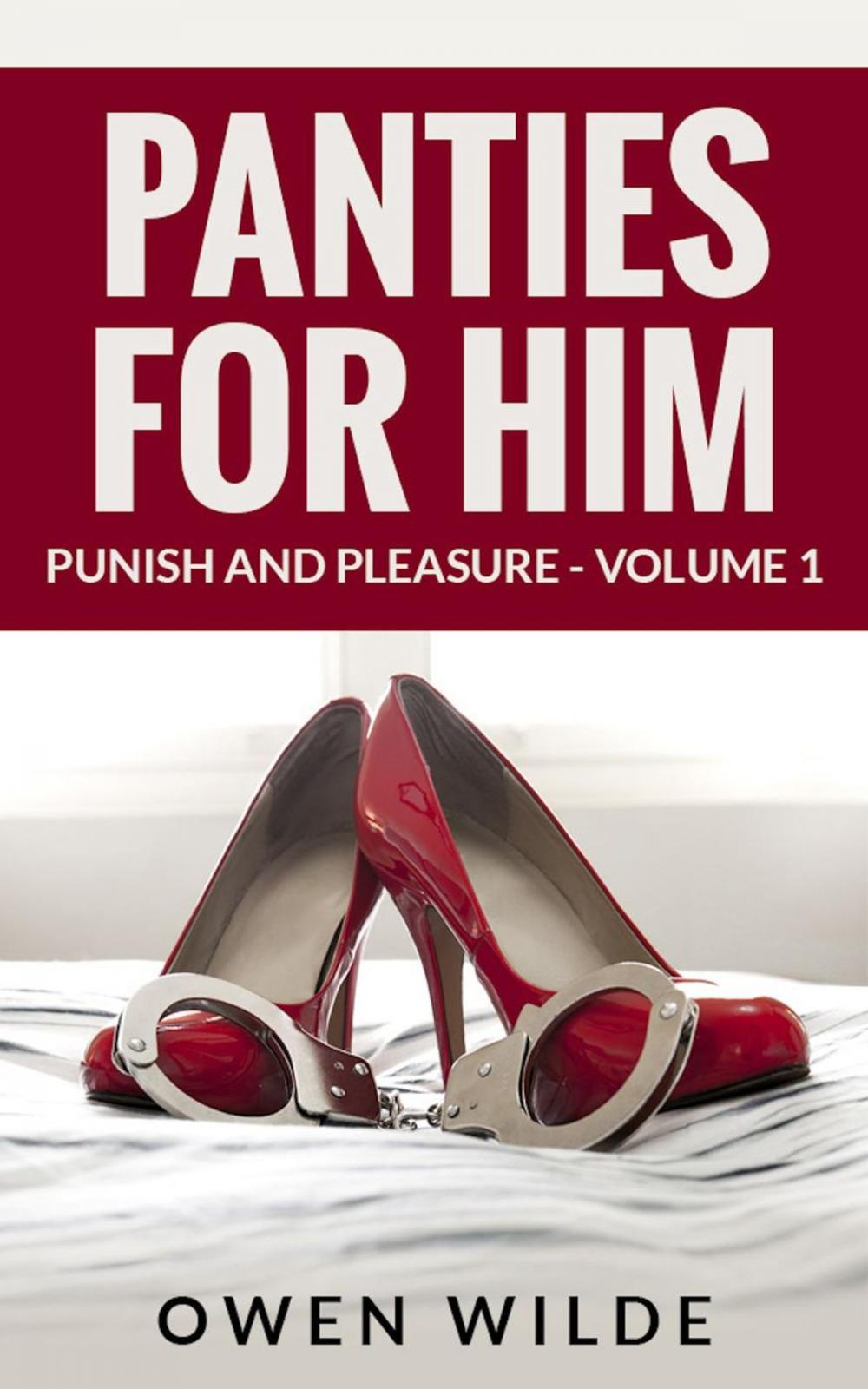 Big bigCover of Panties for Him (Punish and Pleasure - Volume 1)