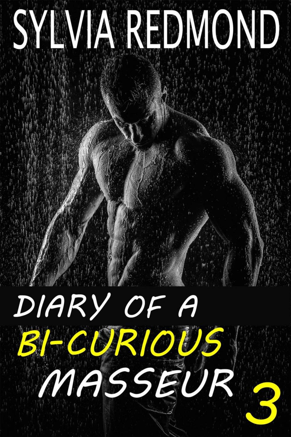 Big bigCover of Diary of a Bi-curious Masseur 3