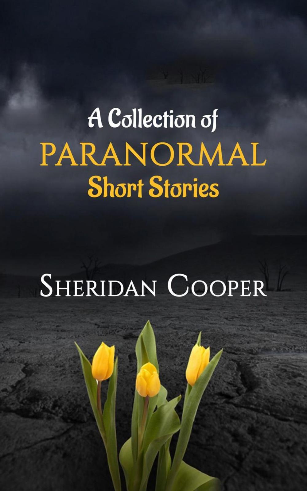 Big bigCover of Paranormal Stories