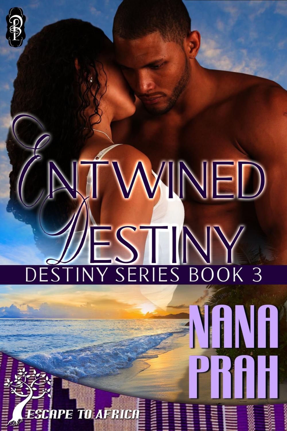 Big bigCover of Entwined Destiny (Destiny African Romance #3)
