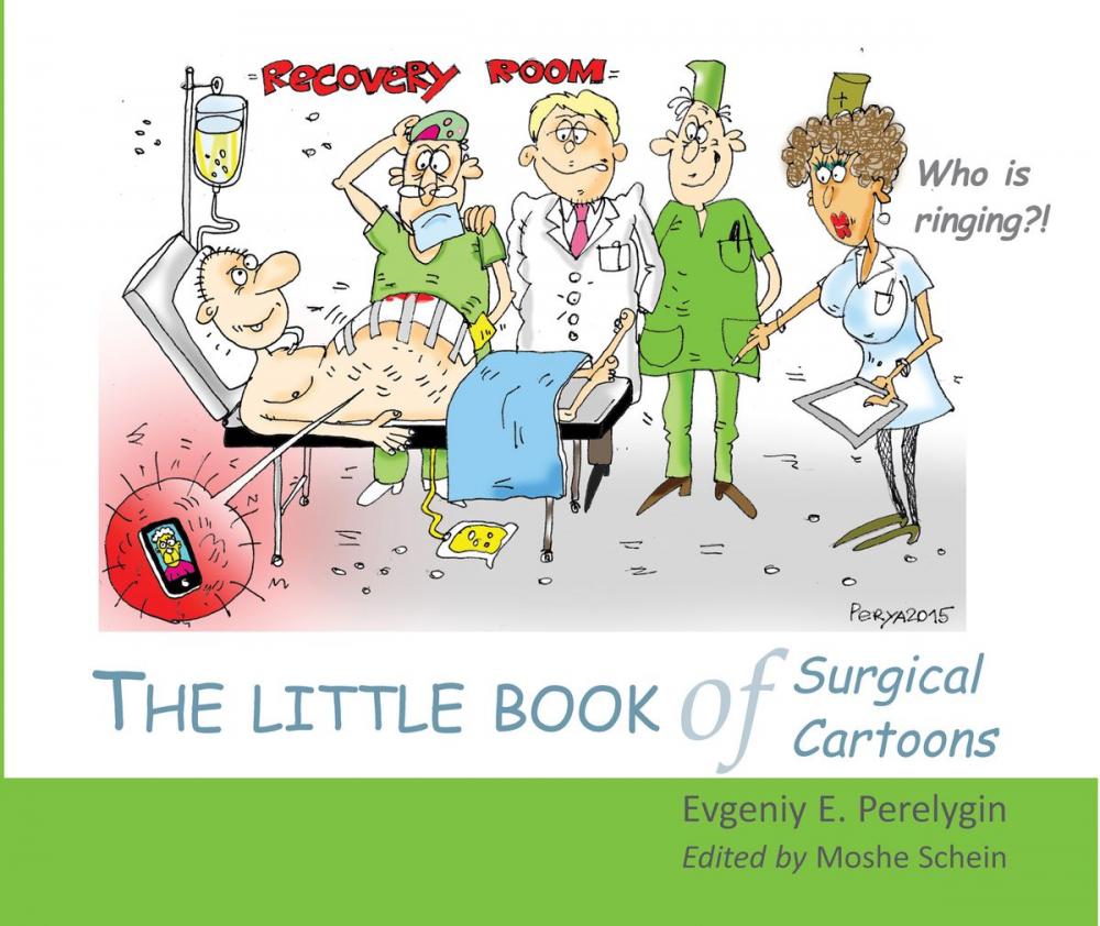 Big bigCover of The little book of surgical cartoons