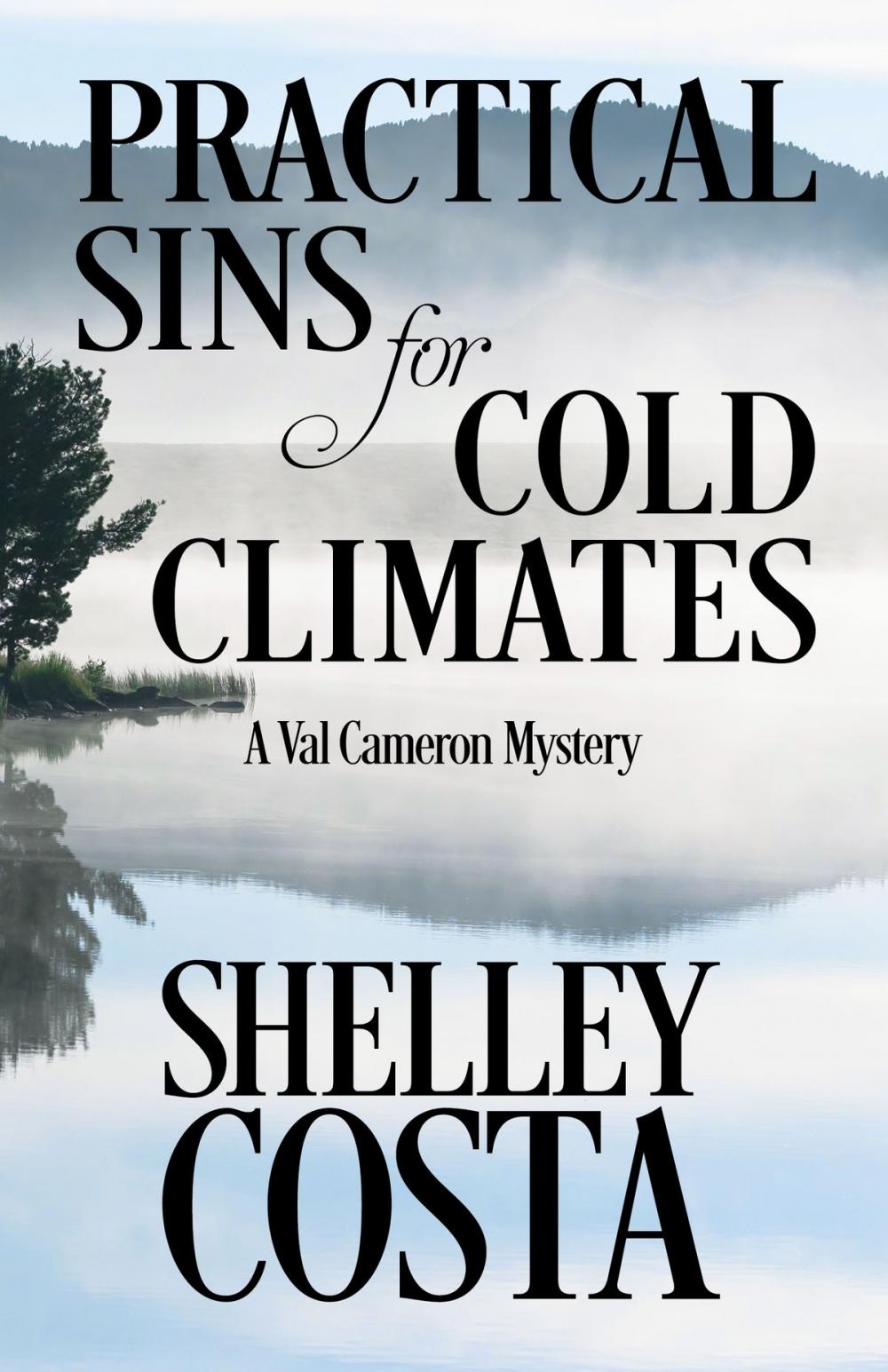 Big bigCover of PRACTICAL SINS FOR COLD CLIMATES