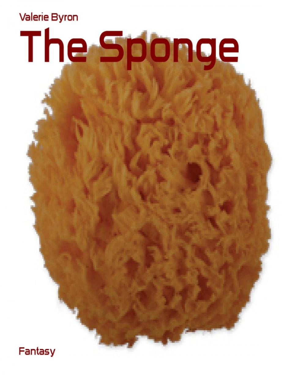 Big bigCover of The Sponge