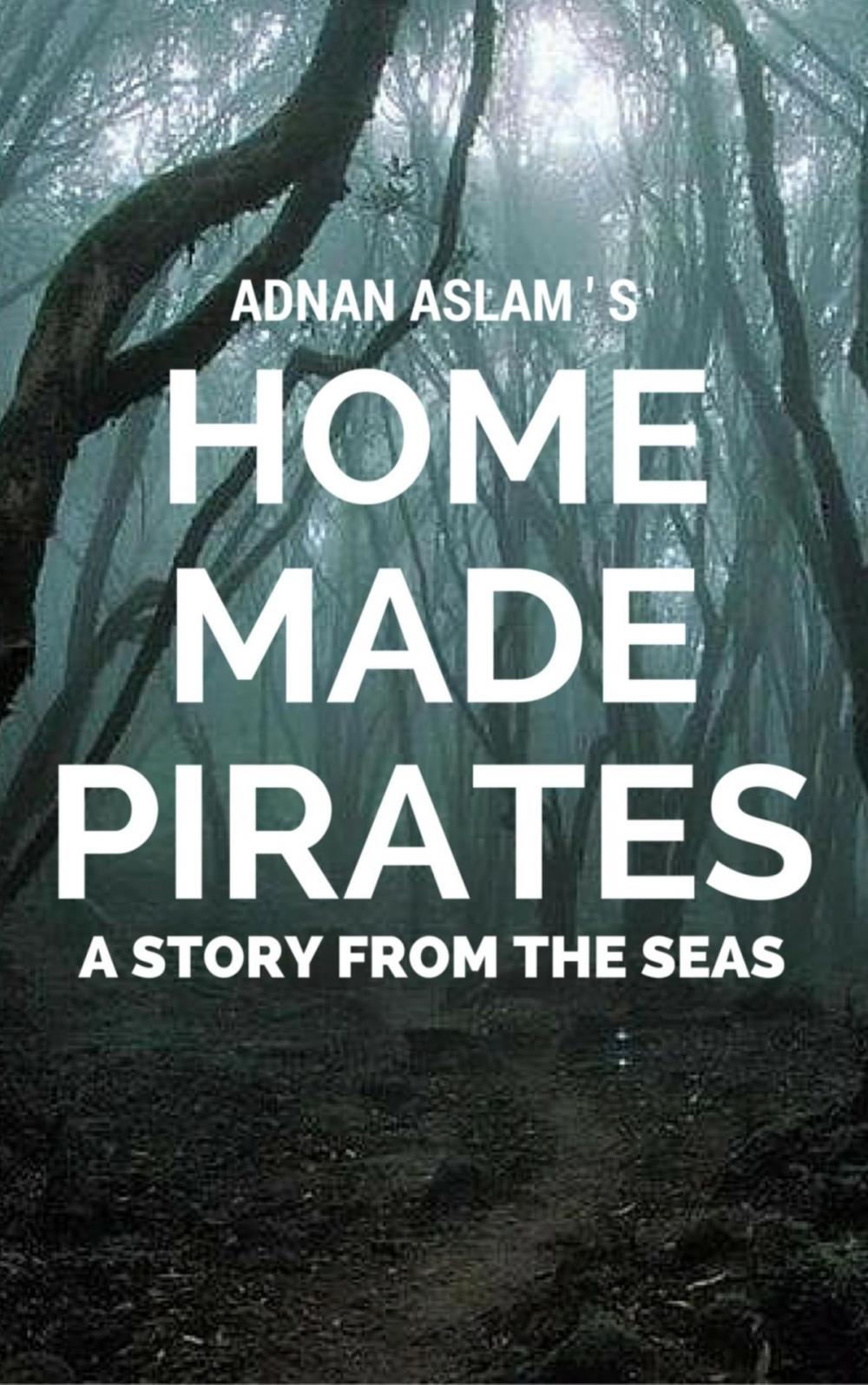 Big bigCover of Home Made Pirates - A Story from the Seas