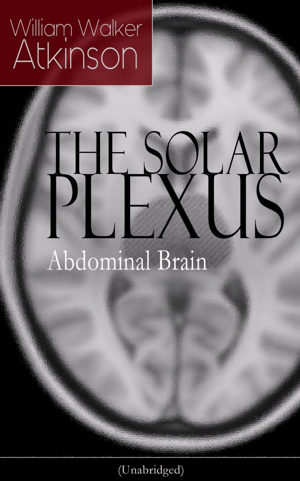 Big bigCover of THE SOLAR PLEXUS - Abdominal Brain