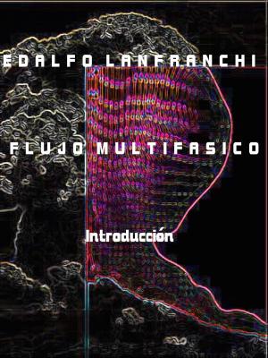 Cover of the book Flujo Multifasico by Vladimir Burdman