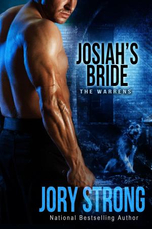 Book cover of Josiah's Bride