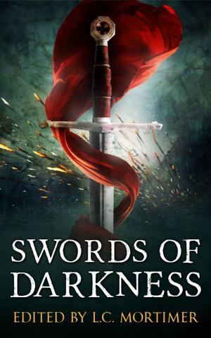 Cover of the book Swords of Darkness by A.E. Marling