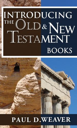 Book cover of Introducing the Old Testament and New Testament Books