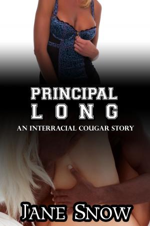 bigCover of the book Principal Long by 