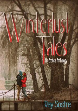 Cover of the book Winterlust Tales - An Erotic Anthology by Joy Slitter