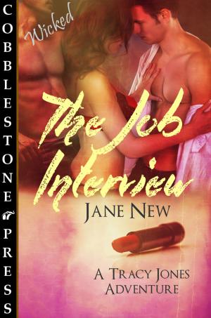 Book cover of The Job Interview