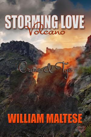 Cover of the book Crane & Tye by Richard Stevenson