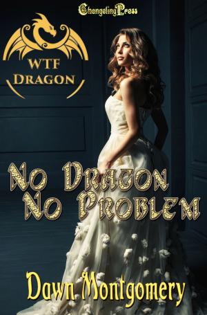 Cover of the book No Dragon, No Problem (WTF Dragon 1) by Stephanie Burke