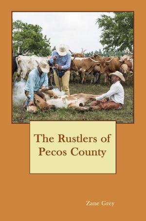 Book cover of The Rustlers of Pecos County (Illustrated)