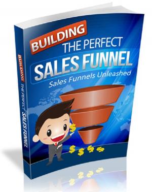 Cover of the book Building The Perfect Sales Funnel by Charles King