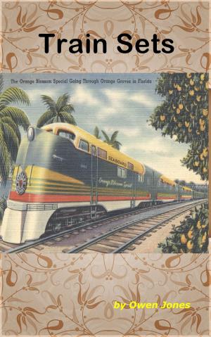 Cover of the book Train Sets by Owen Jones