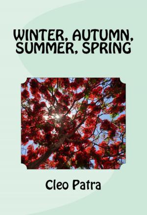 Cover of the book WINTER, AUTUMN, SUMMER, SPRING by WILL S NORMAN