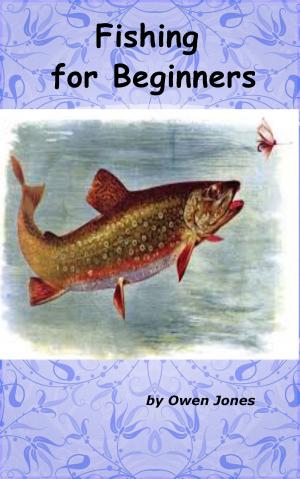 Book cover of Fishing for Beginners