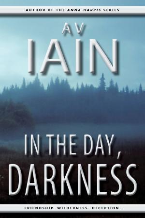Cover of the book In The Day, Darkness by Dave Bakers