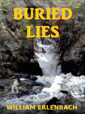 Cover of the book Buried Lies by Barry Graham
