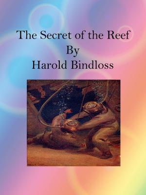 Cover of The Secret of the Reef by Harold Bindloss, cbook3289