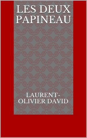 Cover of the book Les deux Papineau by Comtesse de Ségur